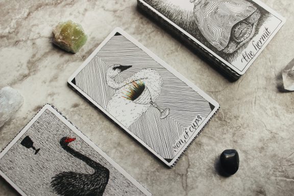 A tarot card reading featuring the Son of Cups from The Wild Unknown Tarot deck, displayed on a marble surface with black and green crystals